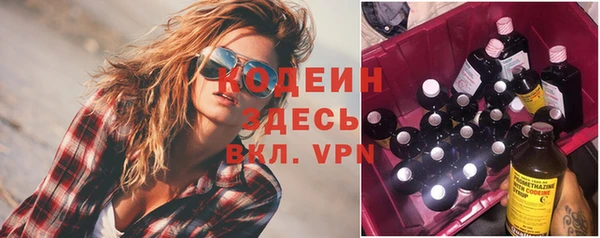 не бодяженный Гусь-Хрустальный