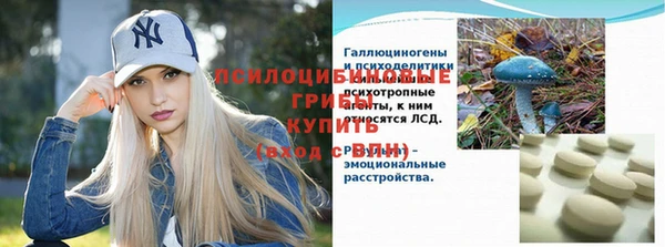 мет Гусев