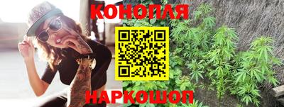 дмт Будённовск