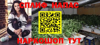 тгк Берёзовский