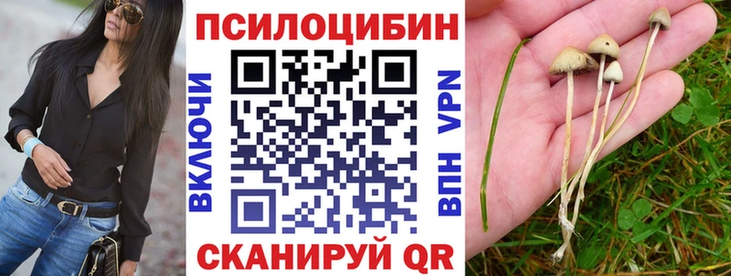 где найти наркотики Губкин Галлюциногенные грибы MAGIC MUSHROOMS