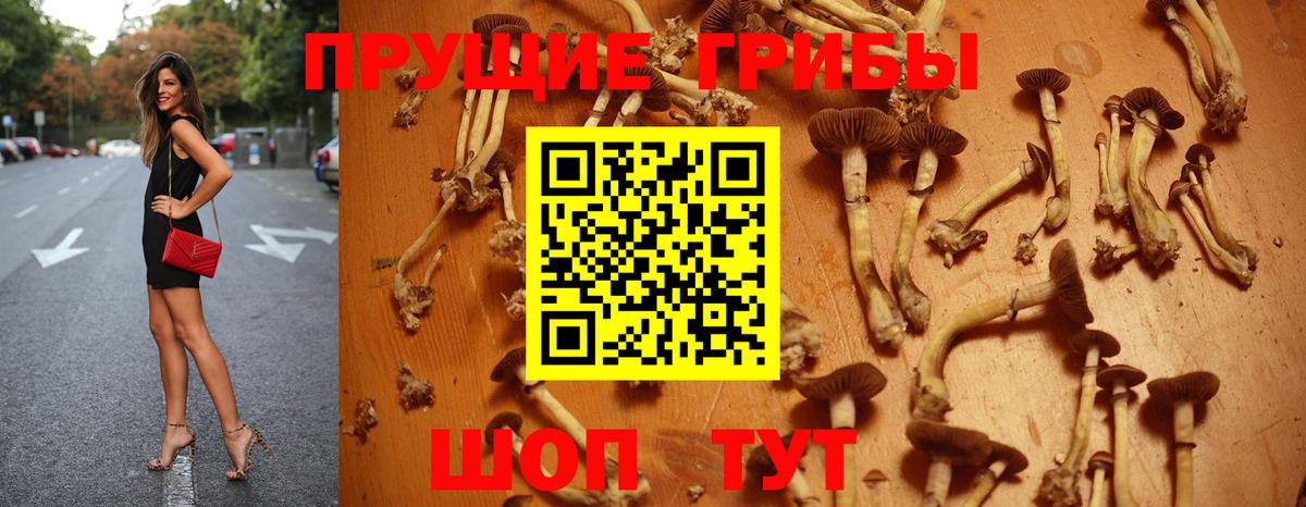Псилоцибиновые грибы MAGIC MUSHROOMS  Вход с VPN  Губкин 