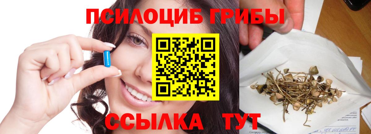 наркота  Губкин  Псилоцибиновые грибы ЛСД 