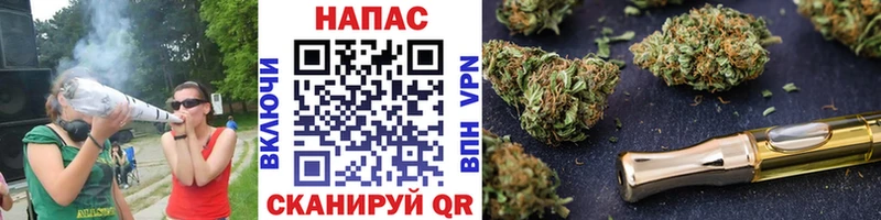 MEGA вход магазин Губкин МАРИХУАНА ГИДРОПОН